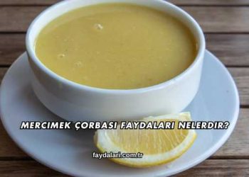 Mercimek Çorbası Faydaları Nelerdir?