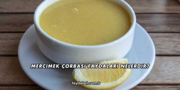 Mercimek Çorbası Faydaları Nelerdir?