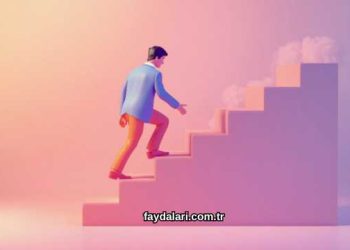 Merdiven Çıkmanın Faydaları Nelerdir?
