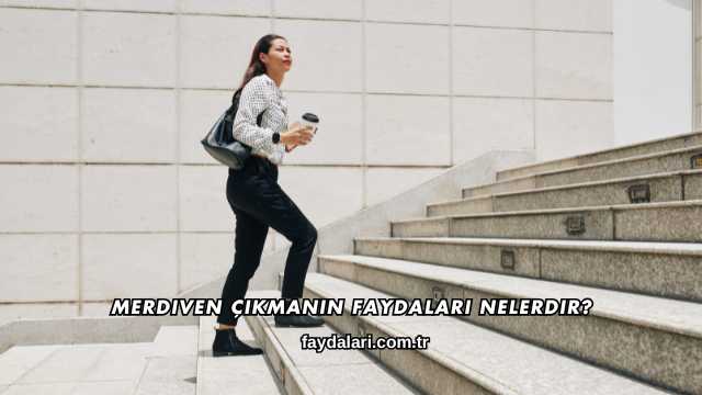 Merdiven Çıkmanın Faydaları Nelerdir?