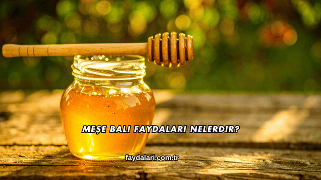 Meşe Balı Faydaları Nelerdir?