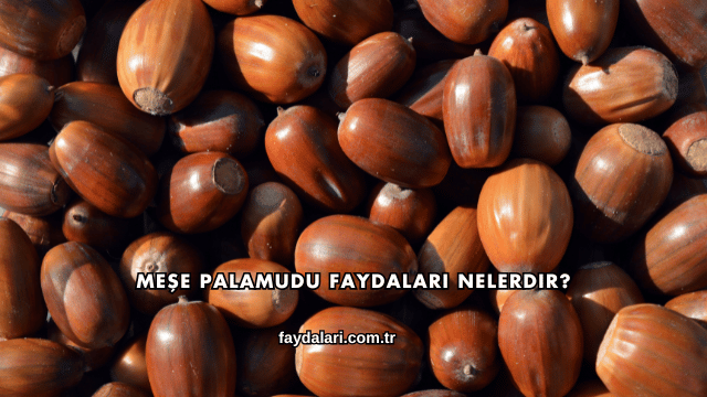 Meşe Palamudu Faydaları Nelerdir?