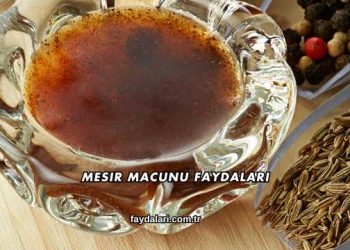 Mesir Macunu Faydaları