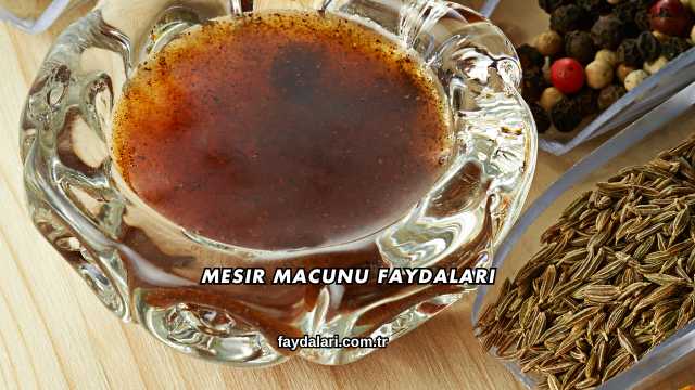 Mesir Macunu Faydaları