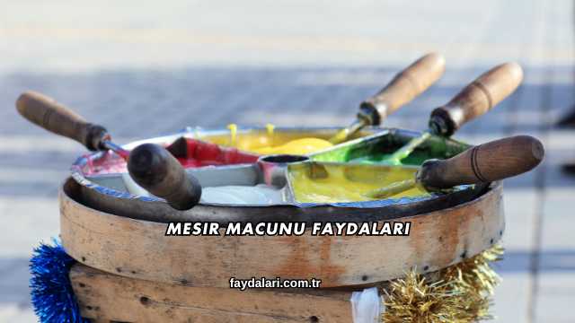 Mesir Macunu Faydaları