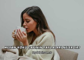 Meyan Kökü Çayının Faydaları Nelerdir?