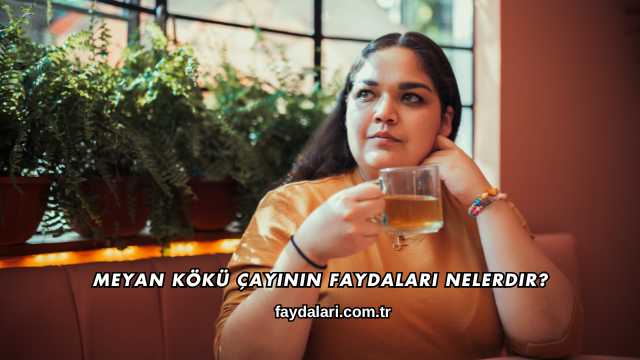 Meyan Kökü Çayının Faydaları Nelerdir?