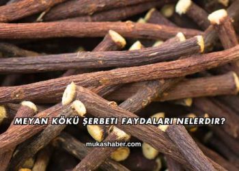 Meyan Kökü Şerbeti Faydaları Nelerdir?