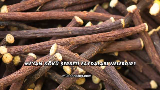 Meyan Kökü Şerbeti Faydaları Nelerdir?