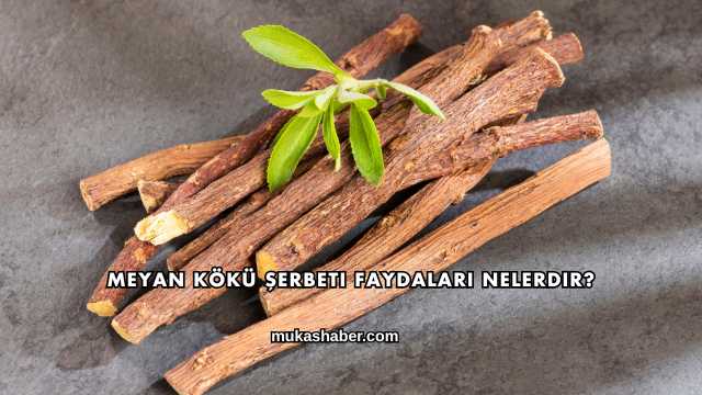 Meyan Kökü Şerbeti Faydaları Nelerdir?