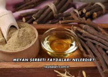 Meyan Şerbeti Faydaları Nelerdir?