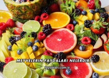 Meyvelerin Faydaları Nelerdir?
