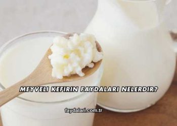 Meyveli Kefirin Faydaları Nelerdir?