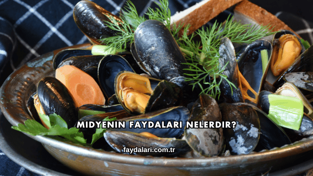Midyenin Faydaları Nelerdir?