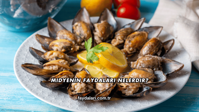 Midyenin Faydaları Nelerdir?