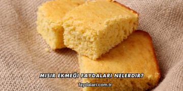 Mısır Ekmeği Faydaları Nelerdir?