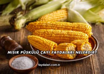 Mısır Püskülü Çayı Faydaları Nelerdir?