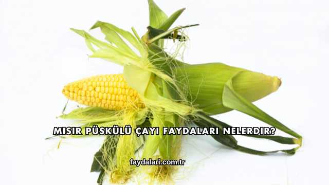 Mısır Püskülü Çayı Faydaları Nelerdir?