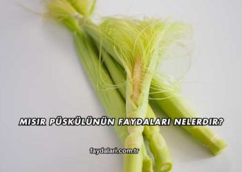 Mısır Püskülünün Faydaları Nelerdir?