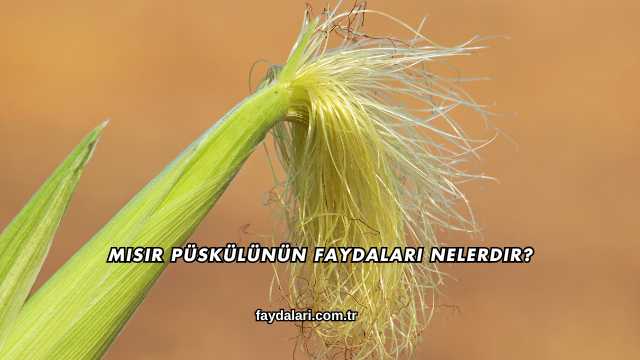 Mısır Püskülünün Faydaları Nelerdir?