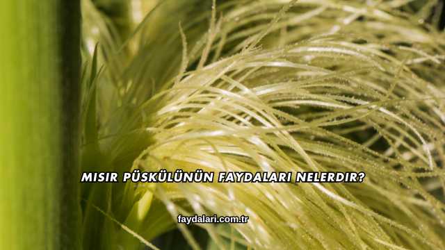 Mısır Püskülünün Faydaları Nelerdir?