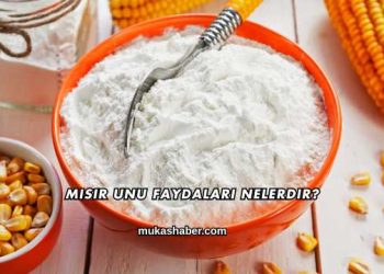 Mısır Unu Faydaları Nelerdir?