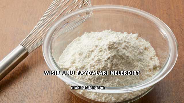 Mısır Unu Faydaları Nelerdir?