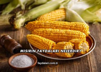 Mısırın Faydaları Nelerdir?
