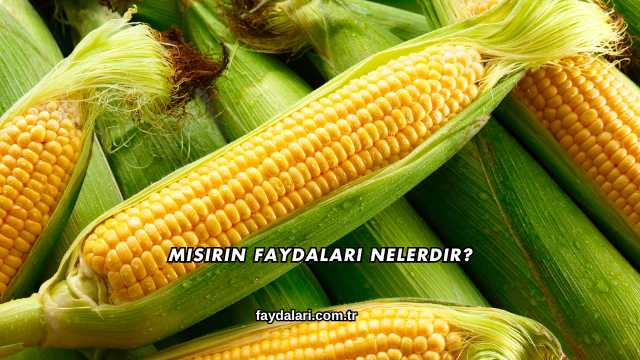 Mısırın Faydaları Nelerdir?