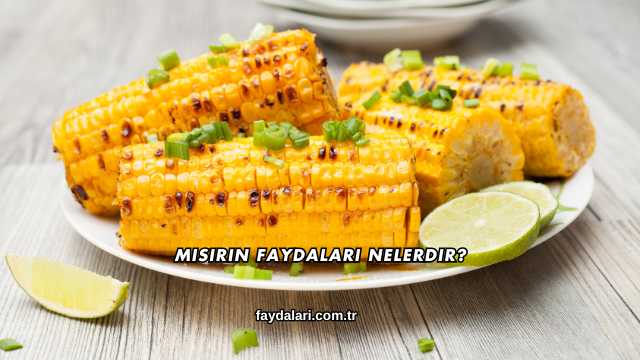 Mısırın Faydaları Nelerdir?