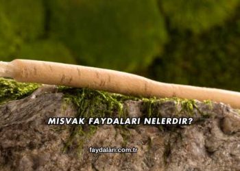 Misvak Faydaları Nelerdir?