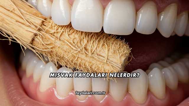 Misvak Faydaları Nelerdir?