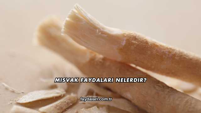 Misvak Faydaları Nelerdir?