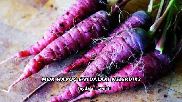 Mor Havuç Faydaları Nelerdir?