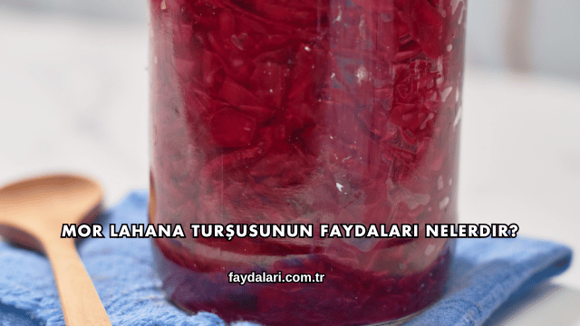Mor Lahana Turşusunun Faydaları Nelerdir?