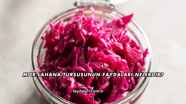 Mor Lahana Turşusunun Faydaları Nelerdir?