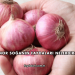 Mor Soğanın Faydaları Nelerdir?
