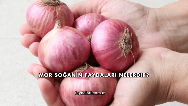 Mor Soğanın Faydaları Nelerdir?
