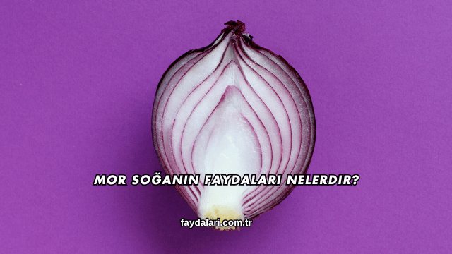 Mor Soğanın Faydaları Nelerdir?