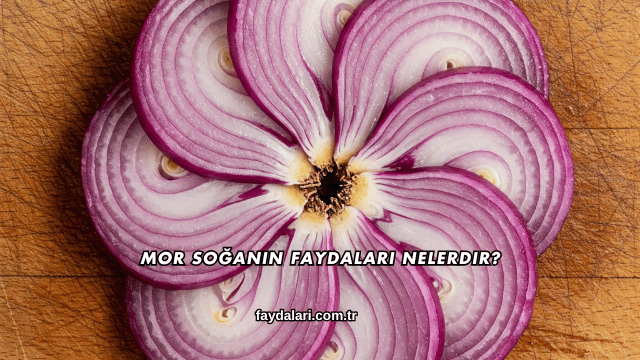 Mor Soğanın Faydaları Nelerdir?