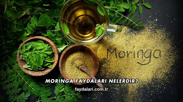 Moringa Faydaları Nelerdir?
