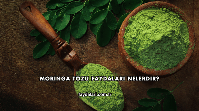 Moringa Tozu Faydaları Nelerdir?