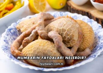 Mumbarın Faydaları Nelerdir?