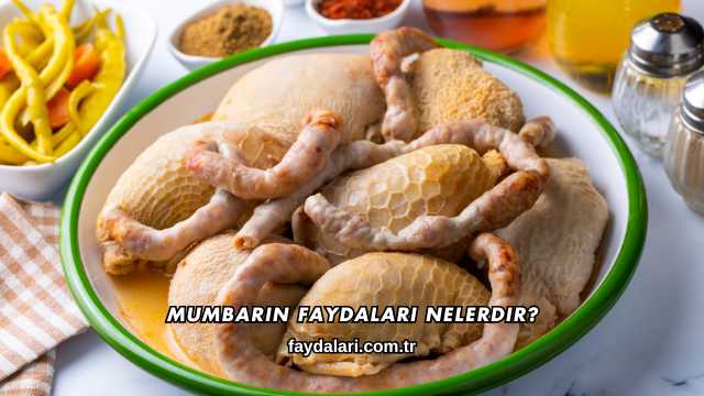 Mumbarın Faydaları Nelerdir?