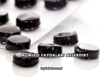 Mumiyo Faydaları Nelerdir?