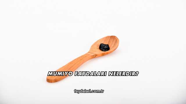Mumiyo Faydaları Nelerdir?