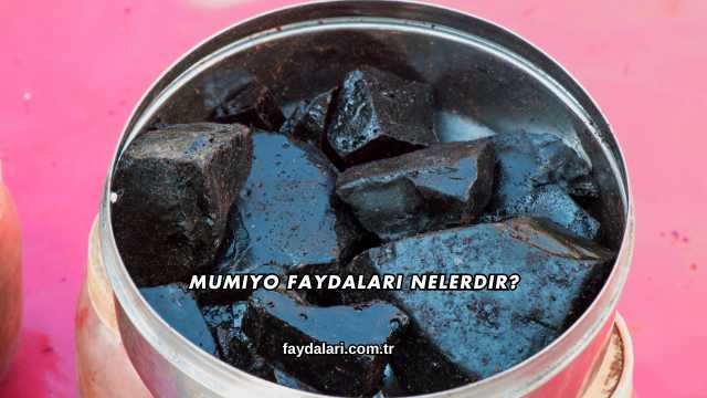 Mumiyo Faydaları Nelerdir?