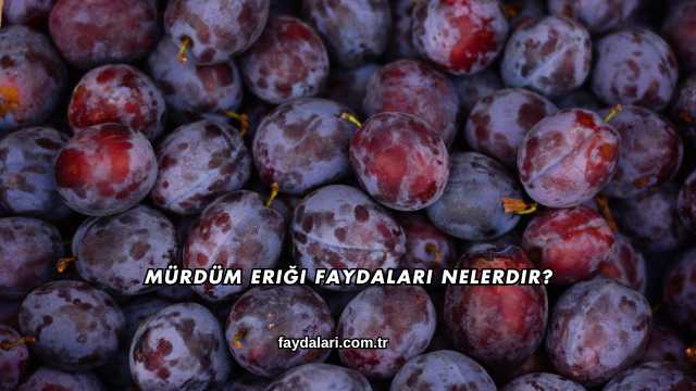 Mürdüm Eriği Faydaları Nelerdir?