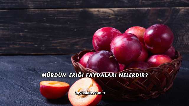 Mürdüm Eriği Faydaları Nelerdir?