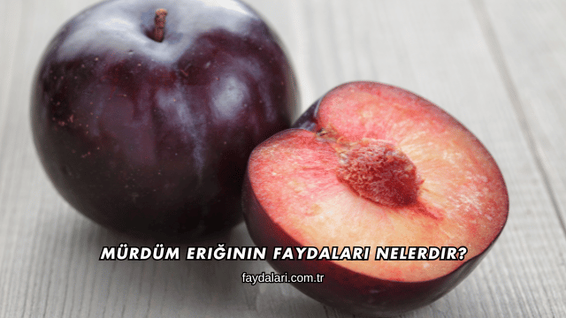 Mürdüm Eriğinin Faydaları Nelerdir?